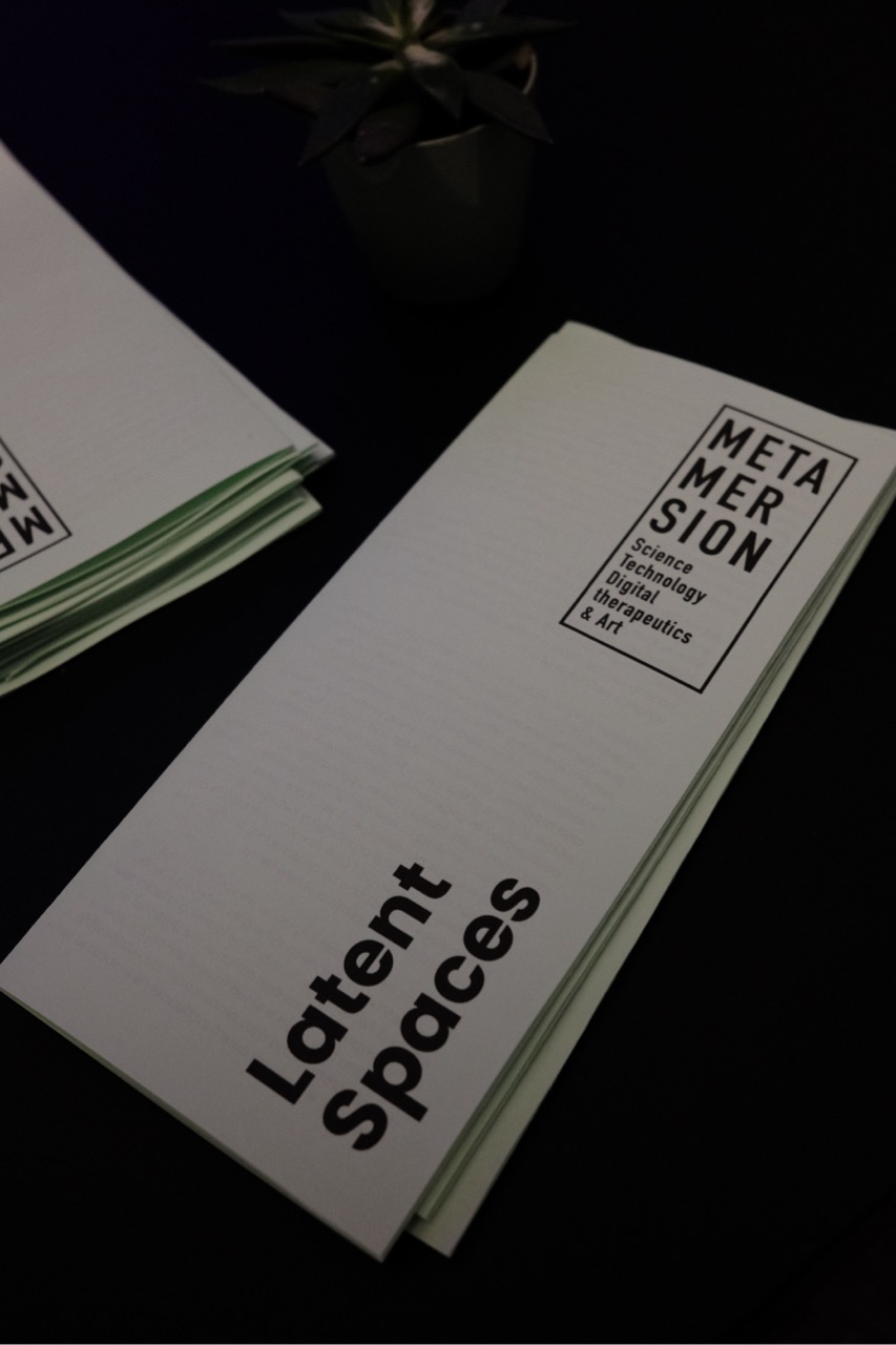 mots_latentspace1_metamersion1.jpg