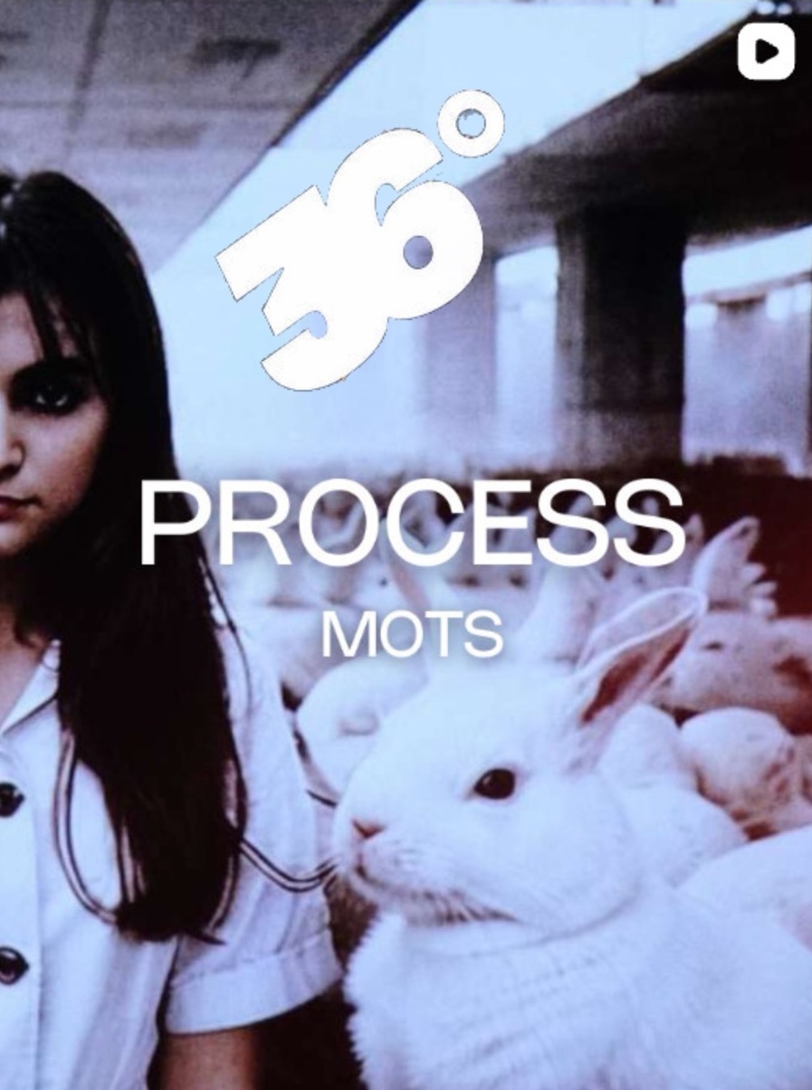 The process behind AI & Me, 36 degrees interview